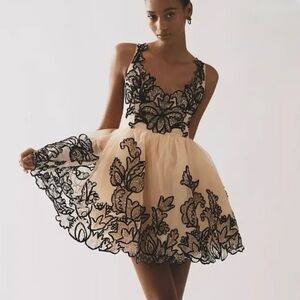 Maeve Sleeveless V-Neck Lace Fit & Flare Mini Dress ~ NWT